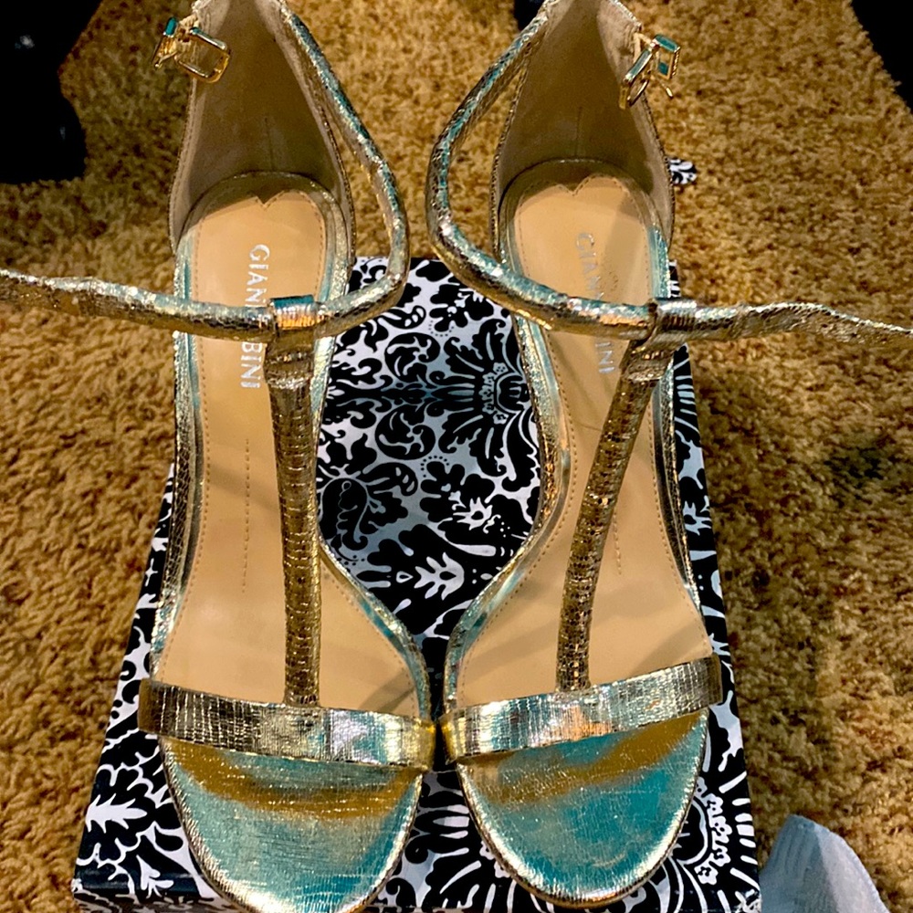 Gianni Bini